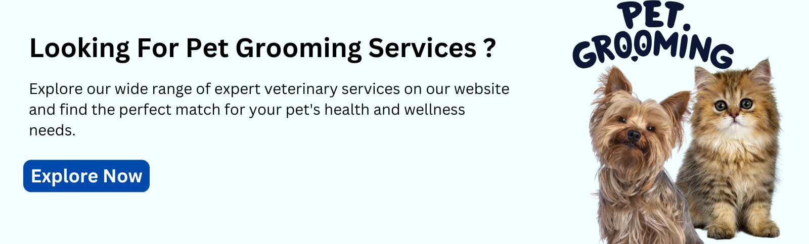 Looking For Pet Grooming Services