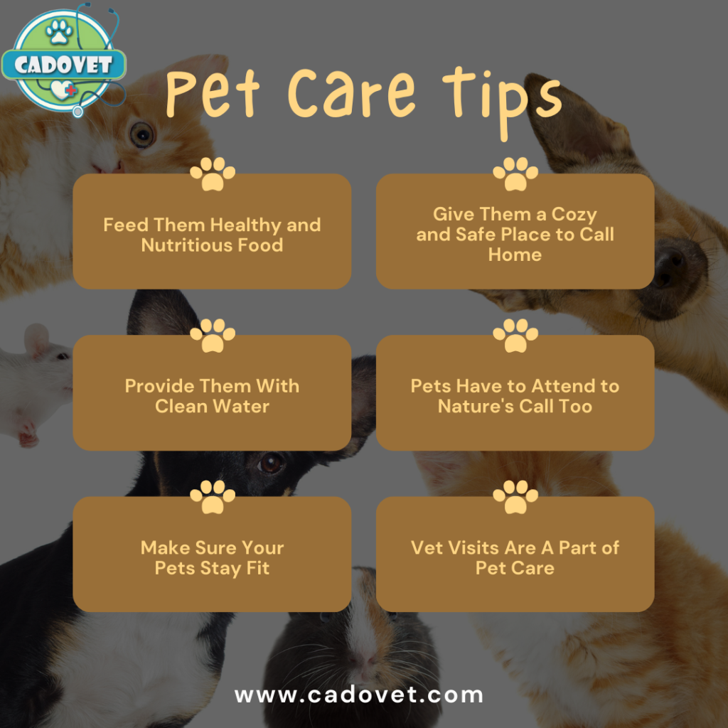 Cadovet, pet care